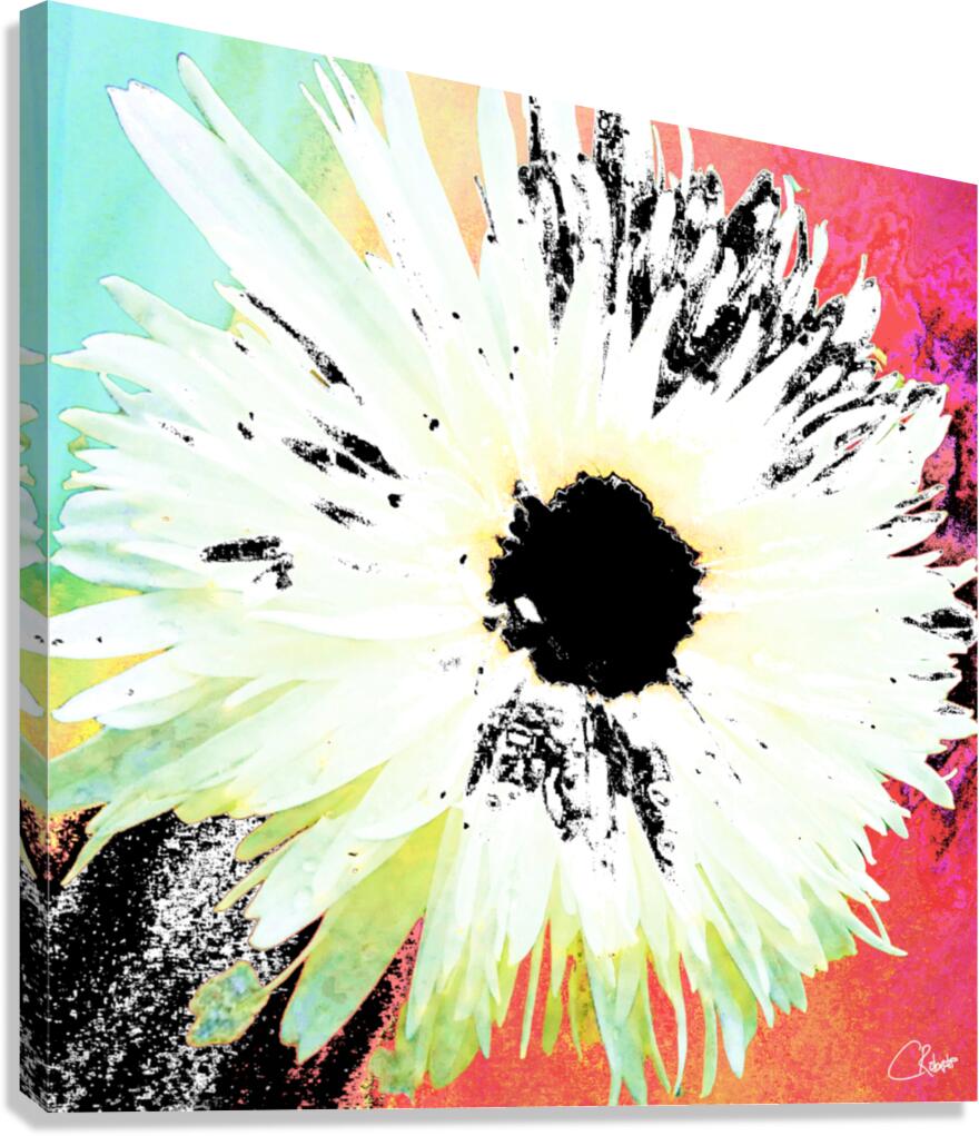 White Daisy Dark Centred on an Abstract Background Canvas Print