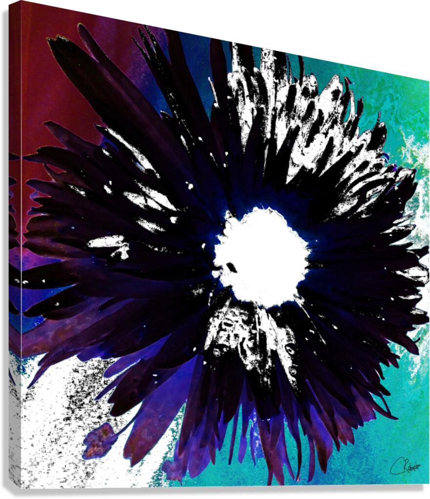 Black and White Daisy on a Coloured Abstract Background Canvas Print