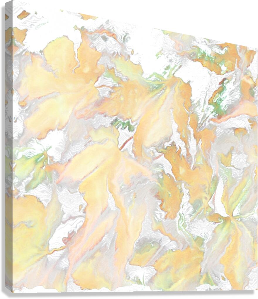Faded Abstract Acer Autumnal Leaves Canvas Print