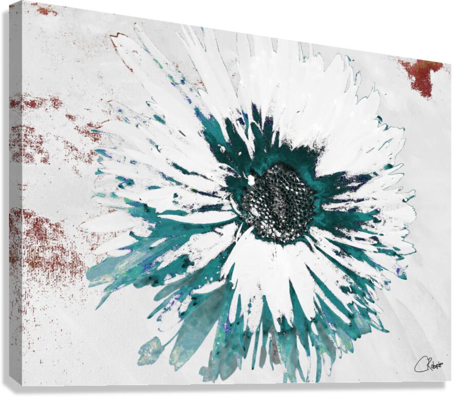 Abstract Dark Centred Daisy on a Pink and White Abstract Background Canvas Print