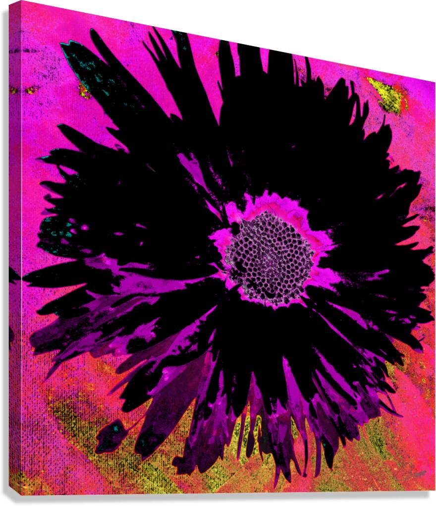 Black Abstract Daisy on a Pink Abstract Background Canvas Print