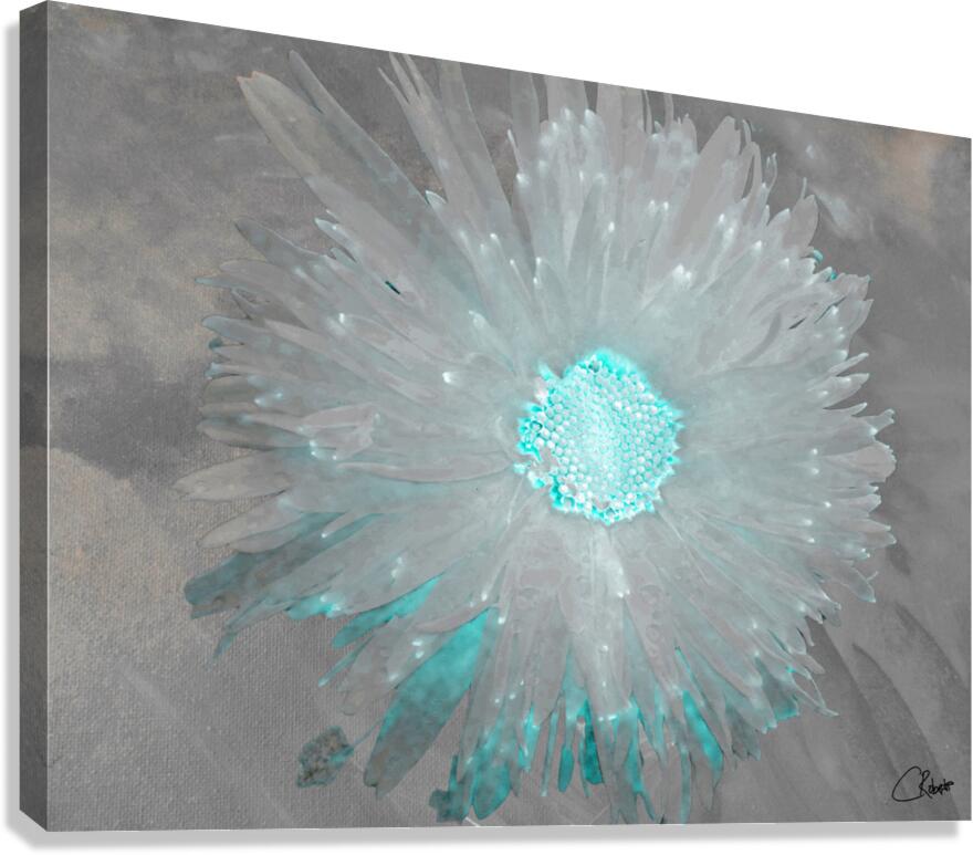 Turquoise Silver Daisy on Light Abstract Background Canvas Print