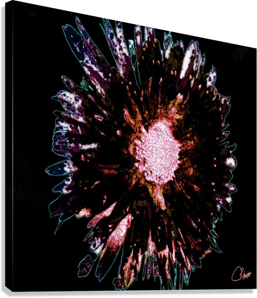 Dark Burgundy Daisy Flower on a Dark Abstract Background Canvas Print