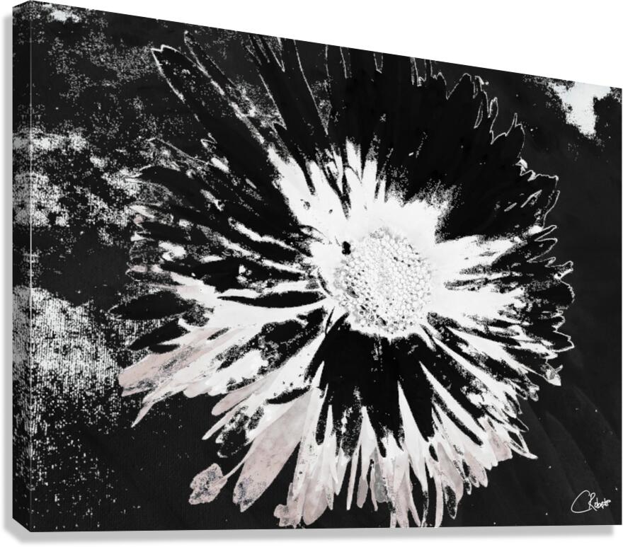 Abstract Monochrome Daisy Flower on an Abstract Monochrome Background Canvas Print