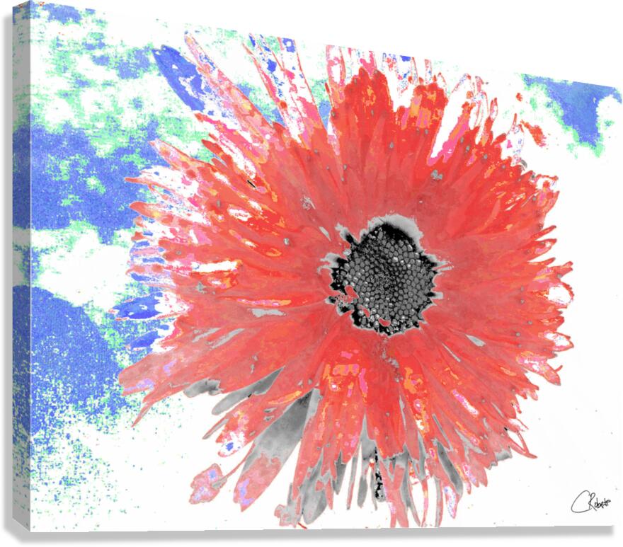 Abstract Red Daisy Flower on a Coloured Abstract Background Canvas Print