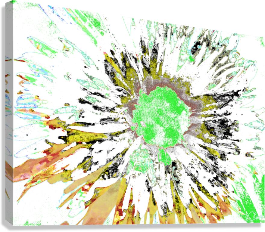 Abstract Neon Green Colour Blast Daisy Flower on an Abstract Background Canvas Print