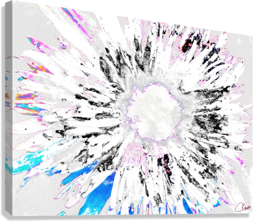 Paler Colour Splash Daisy Canvas Print