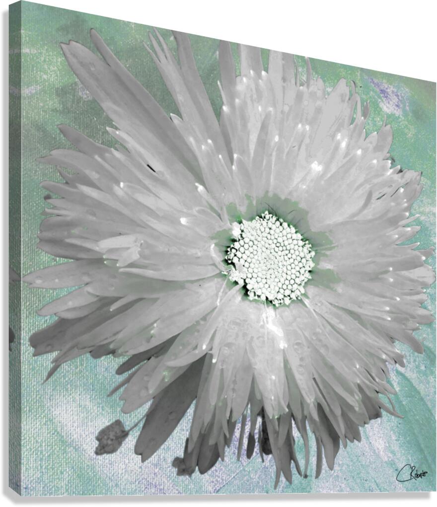 Paler Silver Turquoise Daisy on a Green Abstract Background Canvas Print