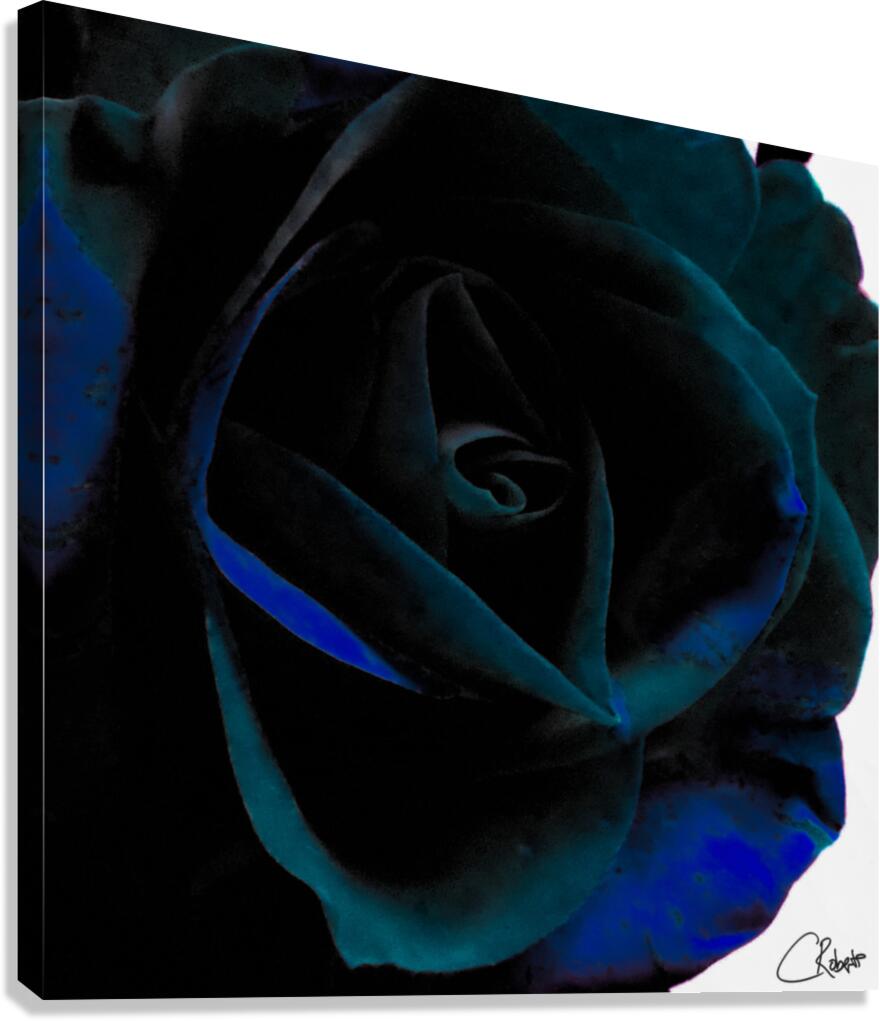 Abstract Dark Green Rose on a Monochrome Abstract Background Canvas Print