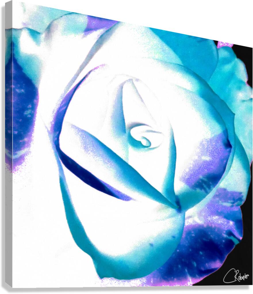 Abstract Multicoloured Rose on a Dark Abstract Background  Canvas Print