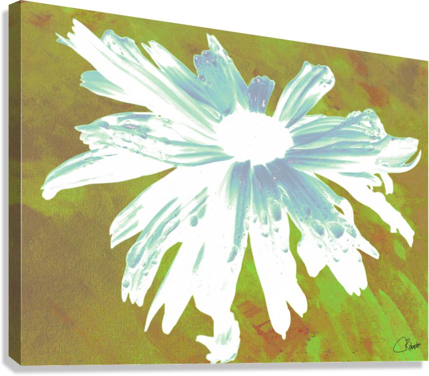 Abstract Minty Daisy Flower on an Abstract Fawn Background Canvas Print