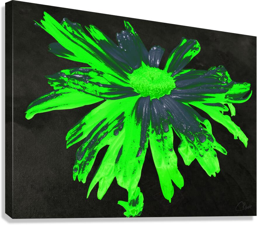 Abstract Neon Green Daisy Flower on a Dark Abstract Background  Canvas Print
