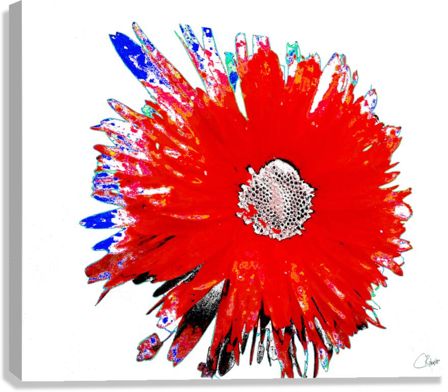 Lighter   Distressed Dasiy on  Abstract Background Canvas Print