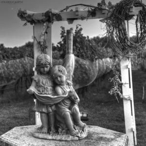 The Winery