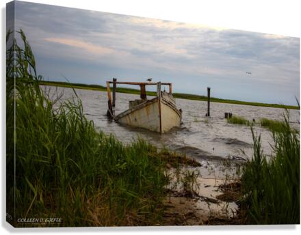 Forgotten Canvas Print