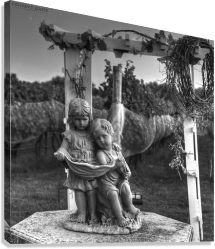 The Winery Canvas Print