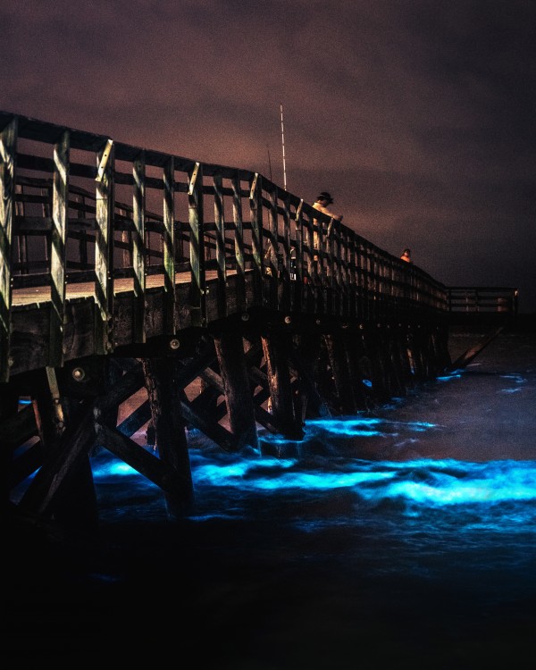 Bioluminescence - Yorktown Beach by snellularr  photo