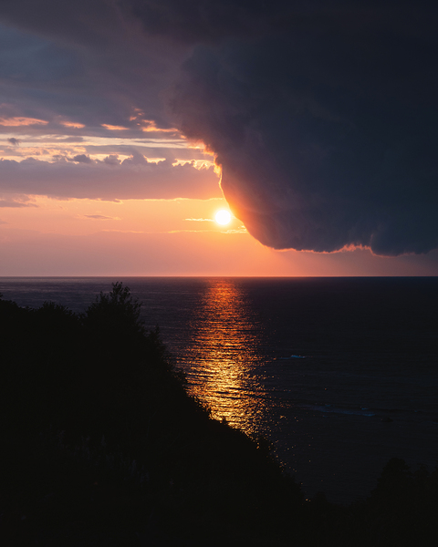 Exists - Essential Moments by snellularr  photo