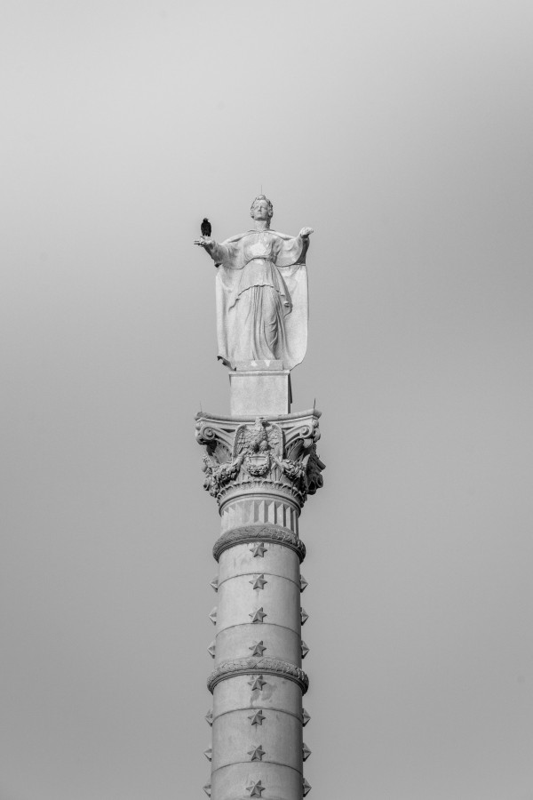 Vulture on the Victory Monument by snellularr  photo