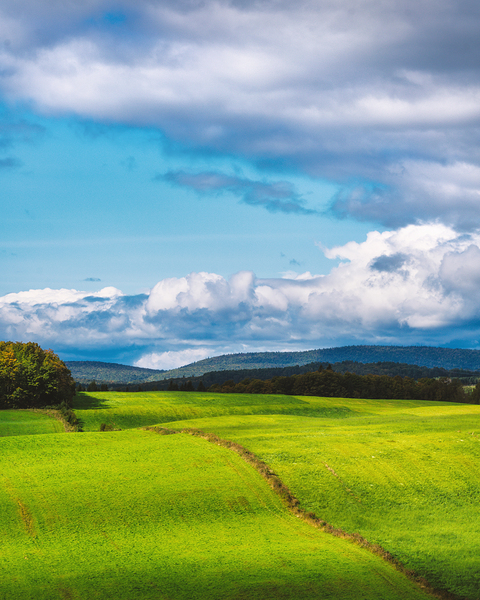Along the Lines of a Long Line by snellularr  photo