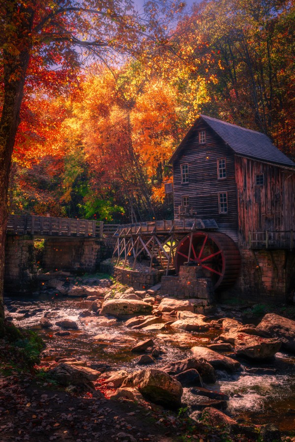 Casting Colors -- Falling leaves by snellularr  photo