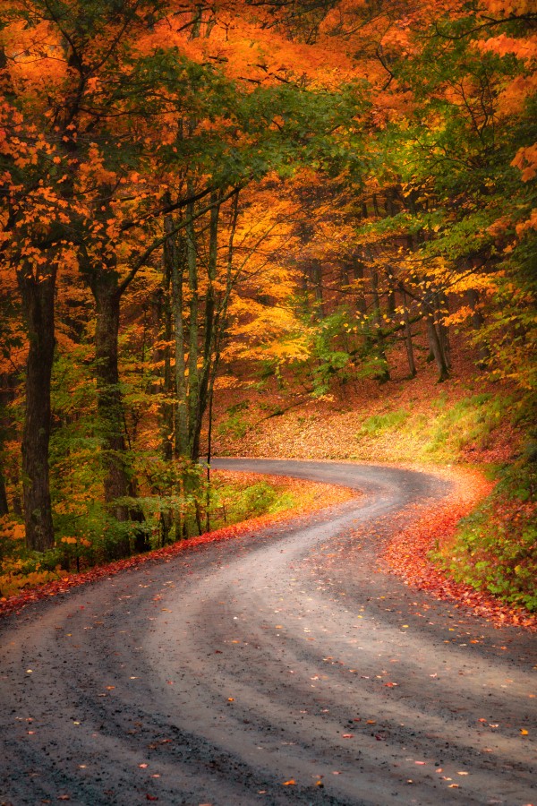 Into the Unknown -- Part 1 by snellularr  photo
