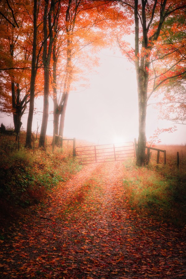 Into the Unknown -- Part 2 by snellularr  photo