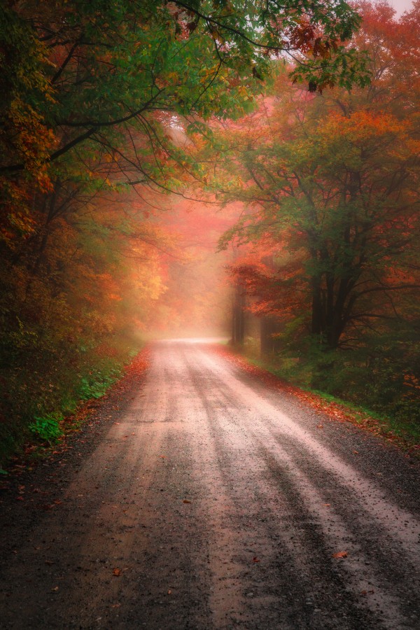 Into the Unknown -- Part 3 by snellularr  photo