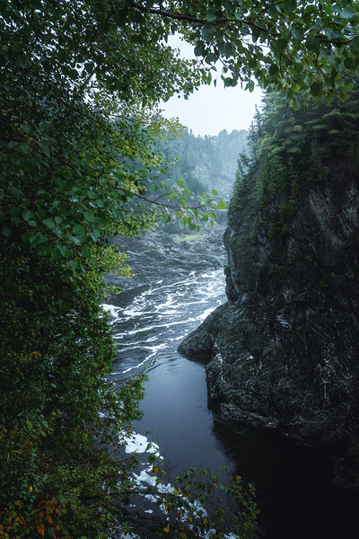 Man Akin by snellularr  photo