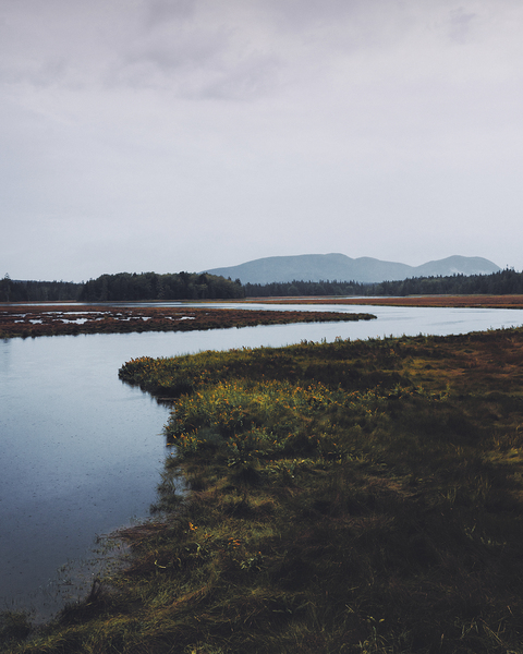 Nuance of Novelty by snellularr  photo