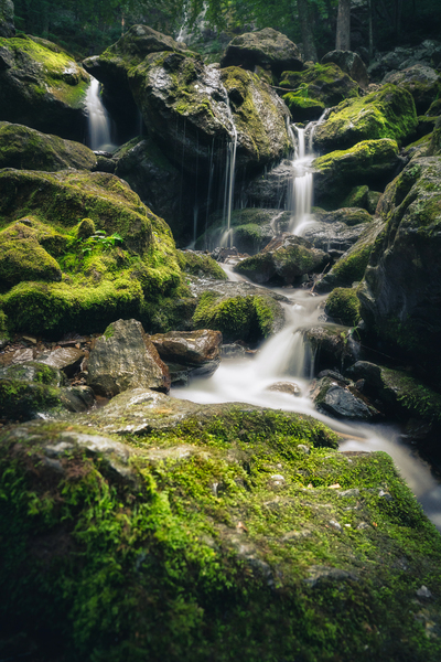 Subtle Synchronicities by snellularr  photo