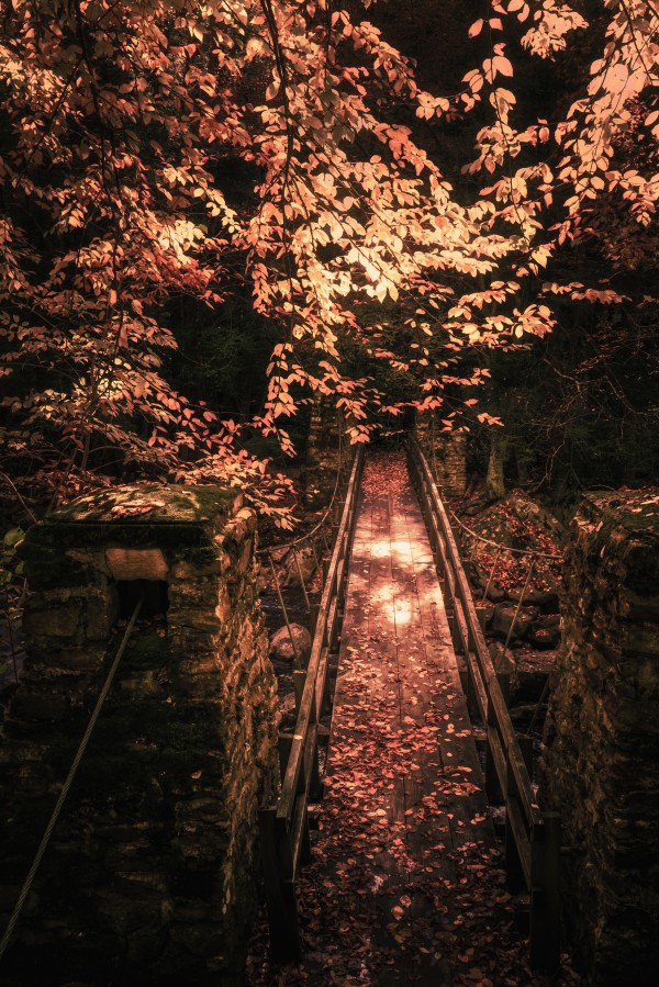 Suspended on the cusp by snellularr  photo