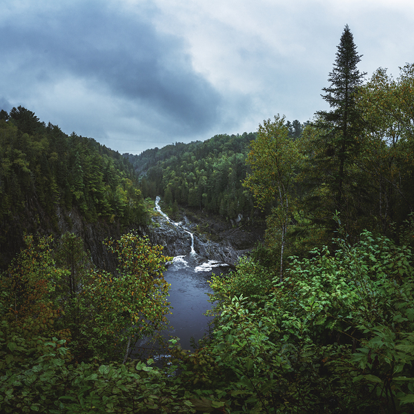 To Paraphrase A Past Phase by snellularr  photo