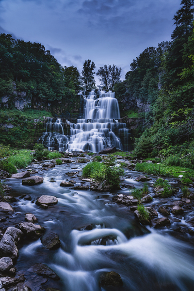 In the Twilight of Ours by snellularr  photo
