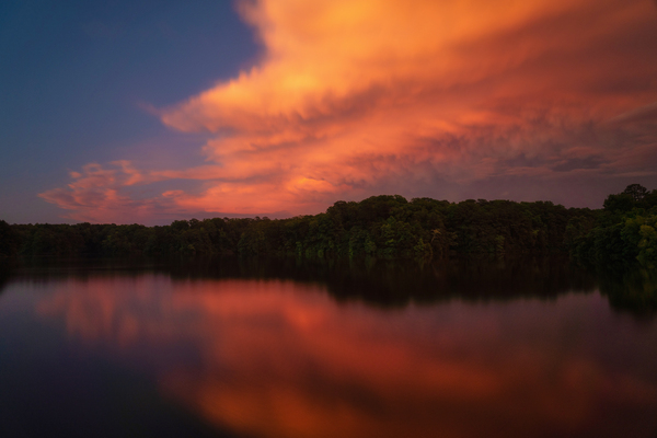 Ethereal Lullaby by snellularr  photo