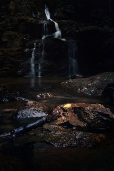 A Glimmer in Gloom by snellularr  photo