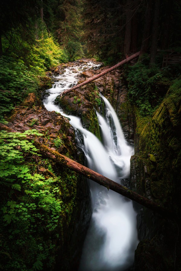Deja Vu Daydream by snellularr  photo