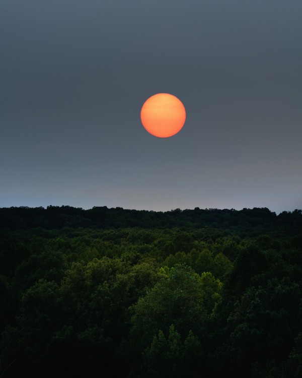 Strange suns behind us - Strange suns ahead by snellularr  photo