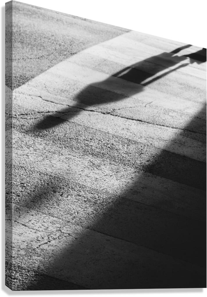 Internal Eternities Canvas Print