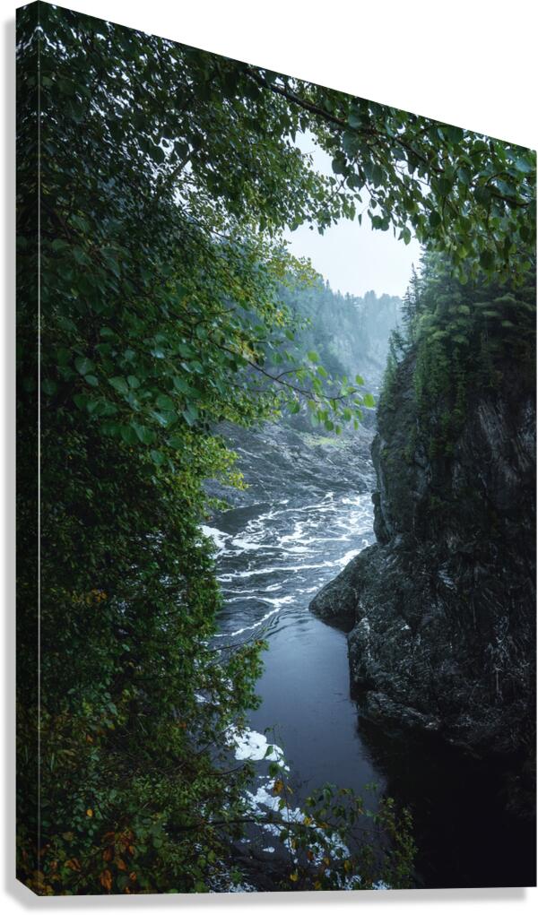 Man Akin Canvas Print