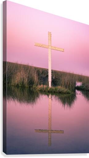 Double Crossed Canvas Print