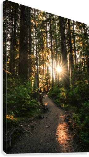 Wayfinder Canvas Print