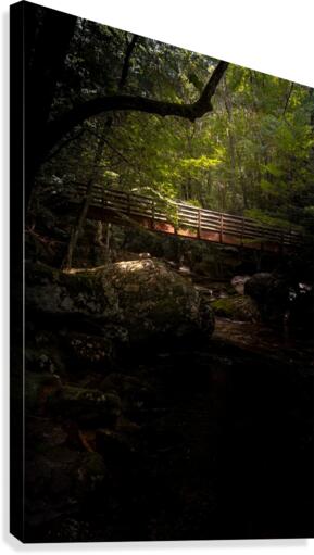 Bridging the Gap Canvas Print