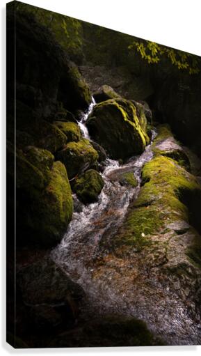 Wall Falls Canvas Print
