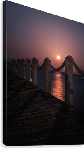 Mid-night Mischief Canvas Print