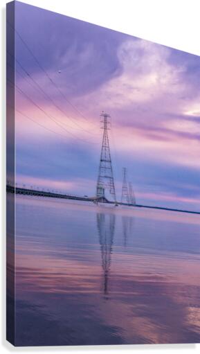 Bewildering Backbones Canvas Print
