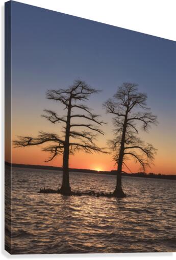 The Light Between  Canvas Print