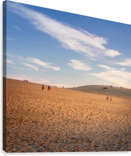 Sandbox Canvas Print