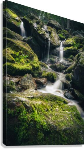 Subtle Synchronicities Canvas Print