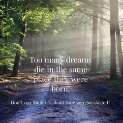 FB IMG 1671891300884